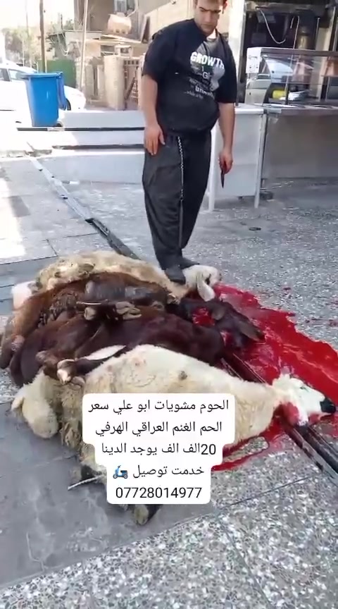 بسم الله الرحمن الرحيم تعلن الحوم مشويات ابو علي سعر الحم الغنم العراقي 20الف سعر العجل العراقي 18الف العنوان حي الشباب مقابل مجمع الرازي الطبي يوجد الدينا خدمت توصيل 🛵 ***********
