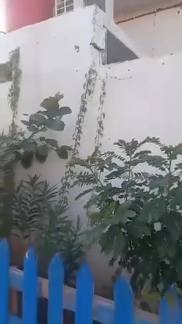 بيت اليجار مساحت البيت 150 متر يحتوي البيت على قرف عدد 2 وستقبال وصاله ومطبخ وصحيات العنوان البصرة أبو الخصيب طريق سيد حامد خلف  البنزين خانه سعر اليجار 300 الستفسار نتصل على الرقم *********** بي واتساب
