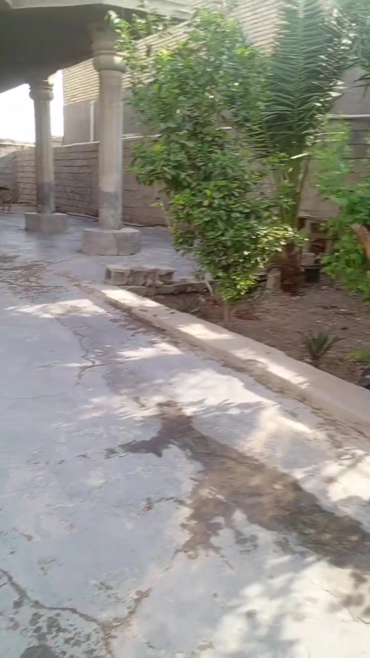 كغيفان الشمالي • ٤٧٠م • طابو زراعي سند٢٥