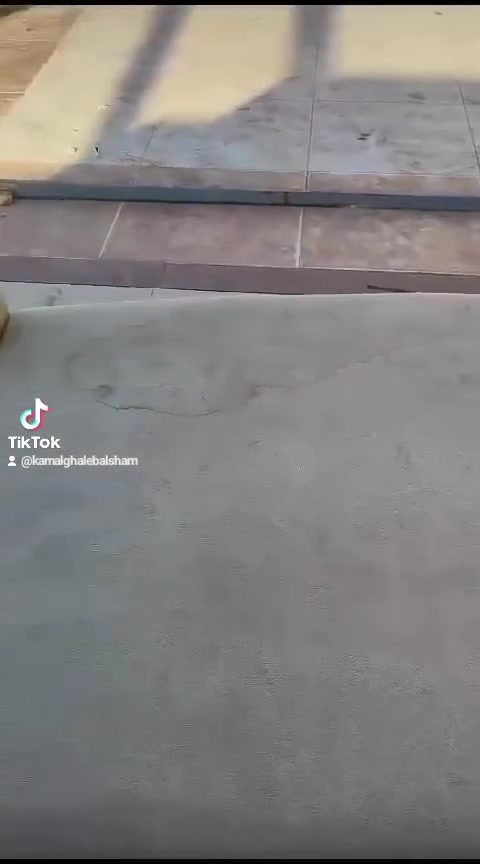 غسيل وكوي • تنظيف بقع • توصيل مجاني