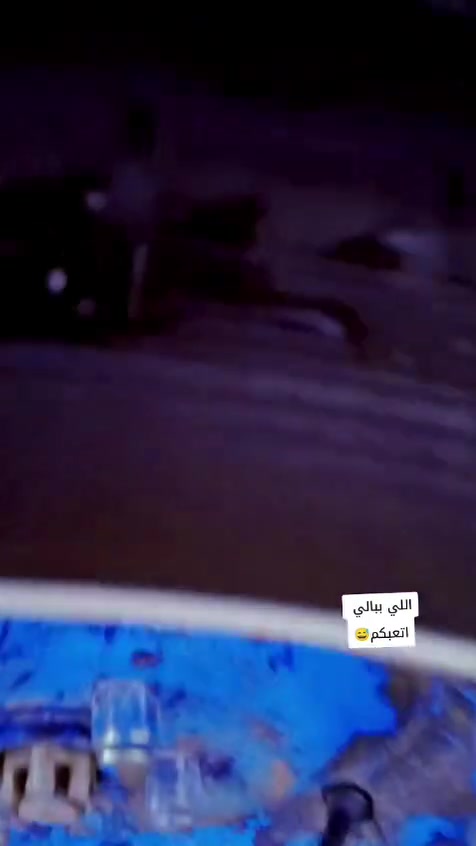 سلام عليكم شباب ستوتة البيع رقم مدور ثاني يوم المكان 2013+***********

نص مكتوب في الصور:
- @user9***********3 @user882818063472