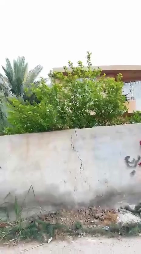 الراشديه السوامره • ٥٥٠م • طابو زراعي