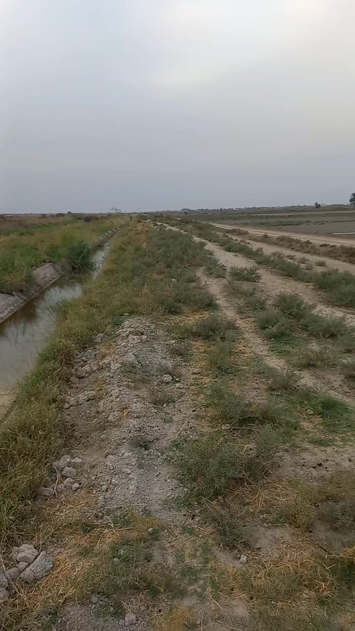سند ٢٥ • ٨ دونم • منطقة الشيخ عامر
