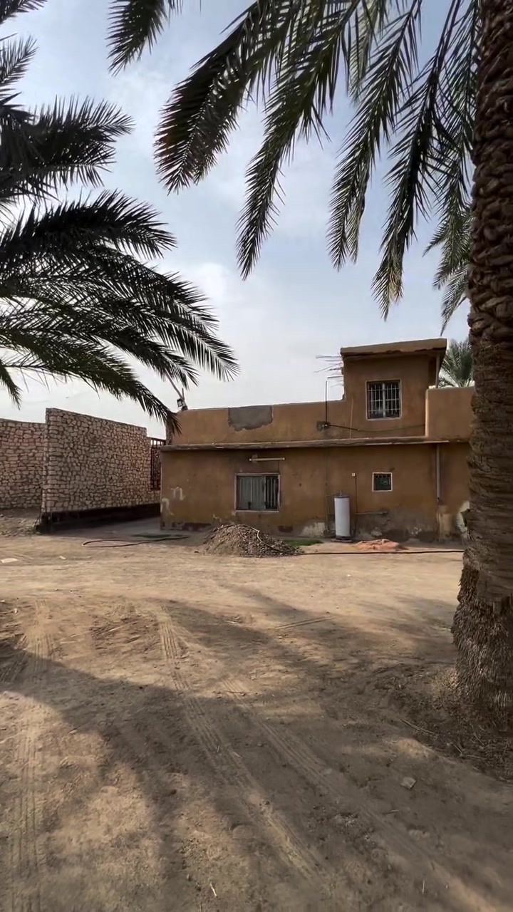 طابو زراعي • دونم ونص • ٣٠ نخلة