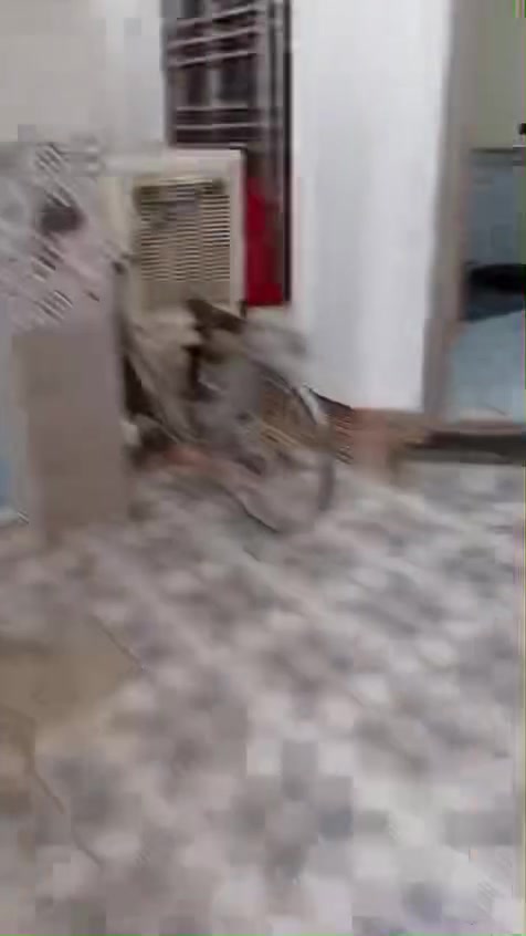 الفلوجة • منطقة 16 • ٣ غرف