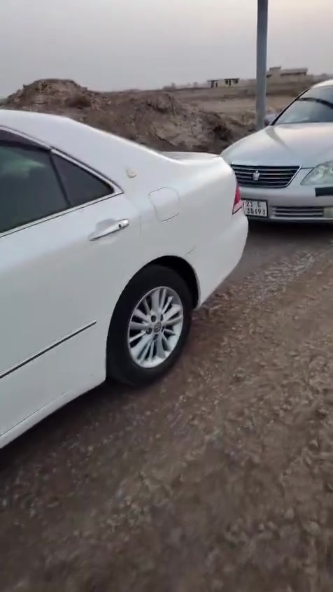 شاهينات • جديدة • ناصريه