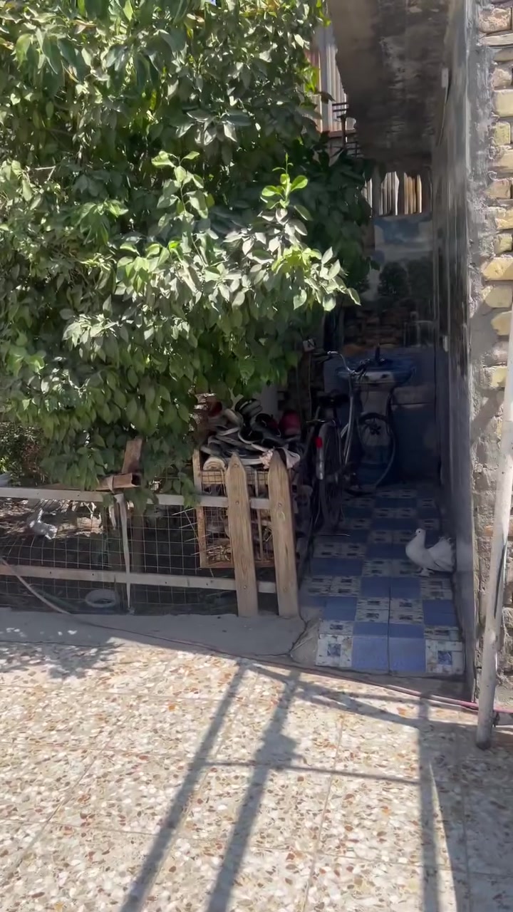 بيت للبيع مساحة ٢٣٥قرب السوق القديم الفرع الي مقابيل الفرن. للاستفسار ***********
