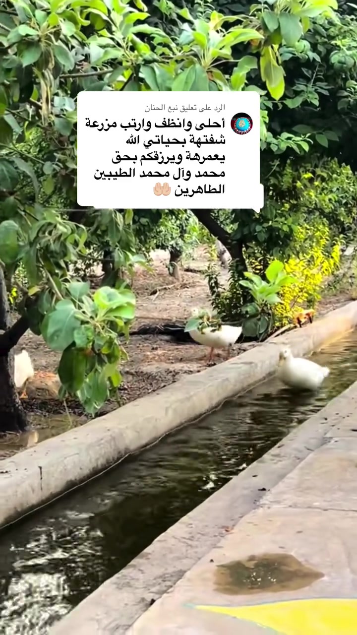 الحمد لله 🙏راحه زبائنا بالمزرعه ويطلعون راضين علينه تسوا عدنه الدنيا
موقعنا بلد 🌷
***********
