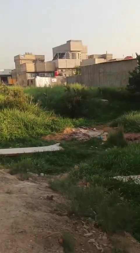 سلام عليكم قطعة 600متر مزروعه معا بيت مساحته 200 المساحه الكليه 800متر طابقين طابق ارضي يصلح قاعه تدريس أو مخزن والطابق الثاني بيت يحتوي على اثنين غرف نوم و مطبخ وصاله واستقبال سند 25زراعي بناء درجه اولى طابوق صب كونكريت  المكان كربلاء طويريج شارع الحولي مقابيل الشط الاستفسار الاتصال على الرقم ***********
