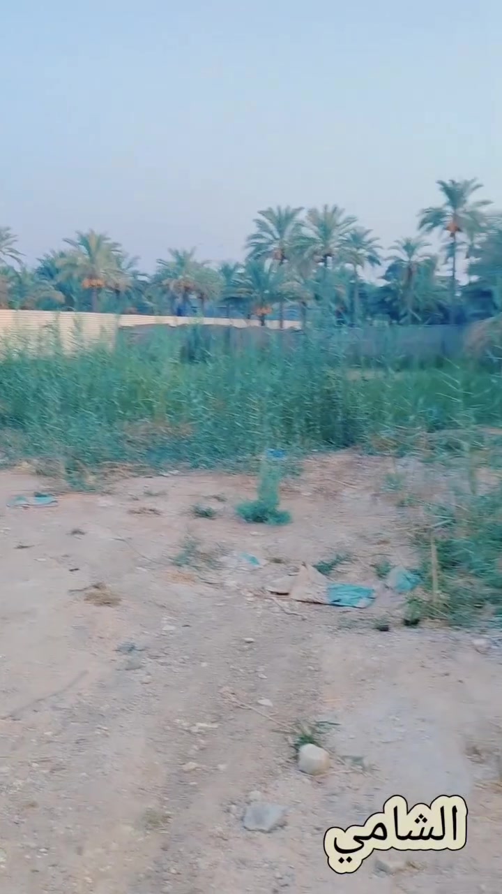 🤲 يا الله اللهم صلِّ على محمد وآل محمد 🏡 أرض للبيع بمساحة 700 متر 📐
📍 العنوان: الصكبانيه– خلف بنزين خانة
🛣️ تبعد عن التبليط تقريباً 50 متر فقط
💧 ماء متوفر
⚡ كهرباء متوفرة
🏫 مدارس قريبة
💰 السعر: 69
📞 للاستفسار والتفاصيل:
مكتب عمار الشامي
☎️ الاتصال على الرقم المذكور
***********
📩 أو مراسلة الصفحة
✨ فرصة مميزة للسكن والاستثمار ✨
