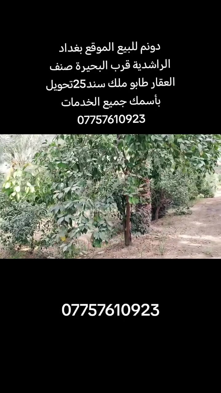 ٢٥ دونم • الراشدية • سند ٢٥