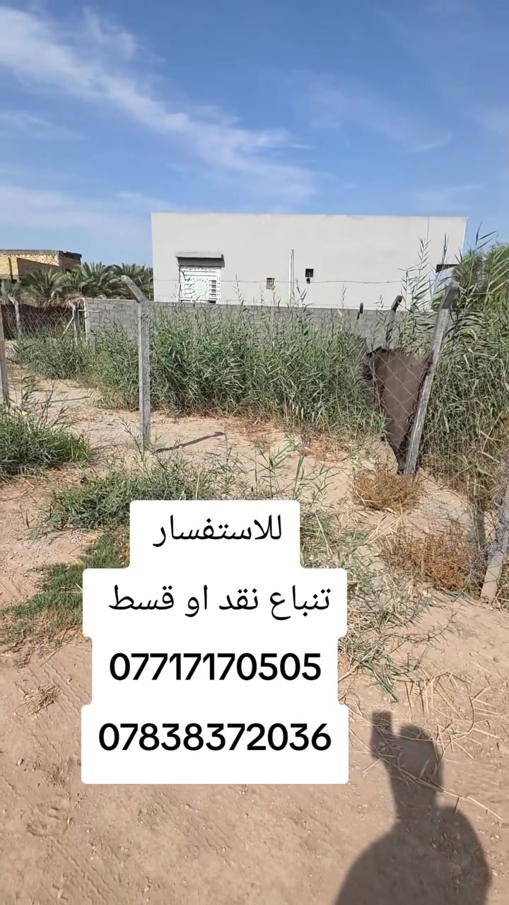 أرض • بدون تفاصيل