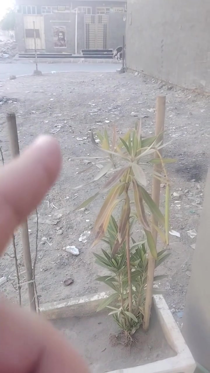 سلام عليكم🏠 قطعه ارض واقع حال للبيع في حي الرحمه المساحه 48 واجه 4 ونزال 12 بدون زحمه الموشراي لايتعب روحه الشراي يتصل ويدلل *********** ملاحضه ماعجبك المنشور لاتعب روحك 🏠
