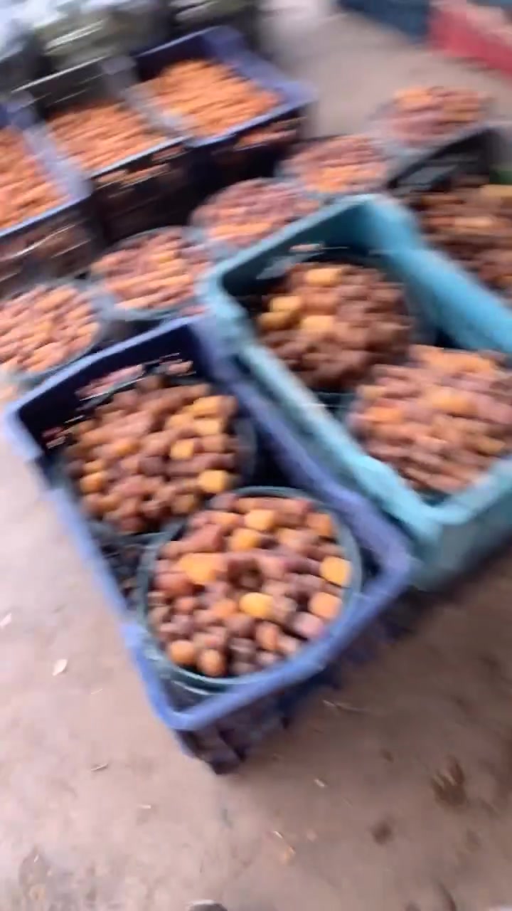 مسواك كامل • توصيل • بغداد