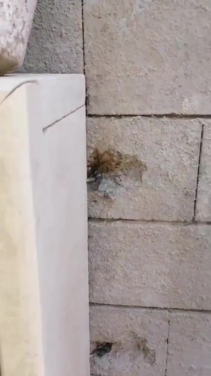 السلام عليكم 
شغلي كوبنات حلان ومرمر داخل الموصل واطراف متفرغ حالياً 
الاستفسار ع اسعار اتصال ع رقم او مراسله واتساب 
‏‪***********‬‏
