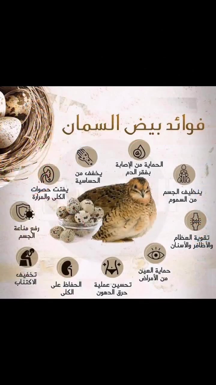 توفر لدينا الآن بيض طائر السمان (السلوى) الطازج، الغني بالفيتامينات والمعادن والبروتين وصحي جداً للأطفال والكبار!
💰 الأسعار:
​طبق 24 بيضة: 5,000 دينار فقط.
​طبق 12 بيضة: 2,500 دينار فقط.
​📦 أسعار خاصة وأسعار جملة أصحاب المحلات والمطاعم (تختلف حسب الكمية المطلوب).
​📩 للطلب والاستفسار يرجى مراسلة الصفحة، أو الاتصال على الرقم: [*********** ]
​
توفر لدينا الآن بيض طائر السمان (السلوى) الطازج، الغني بالفيتامينات والمعادن والبروتين وصحي جداً للأطفال والكبار!
