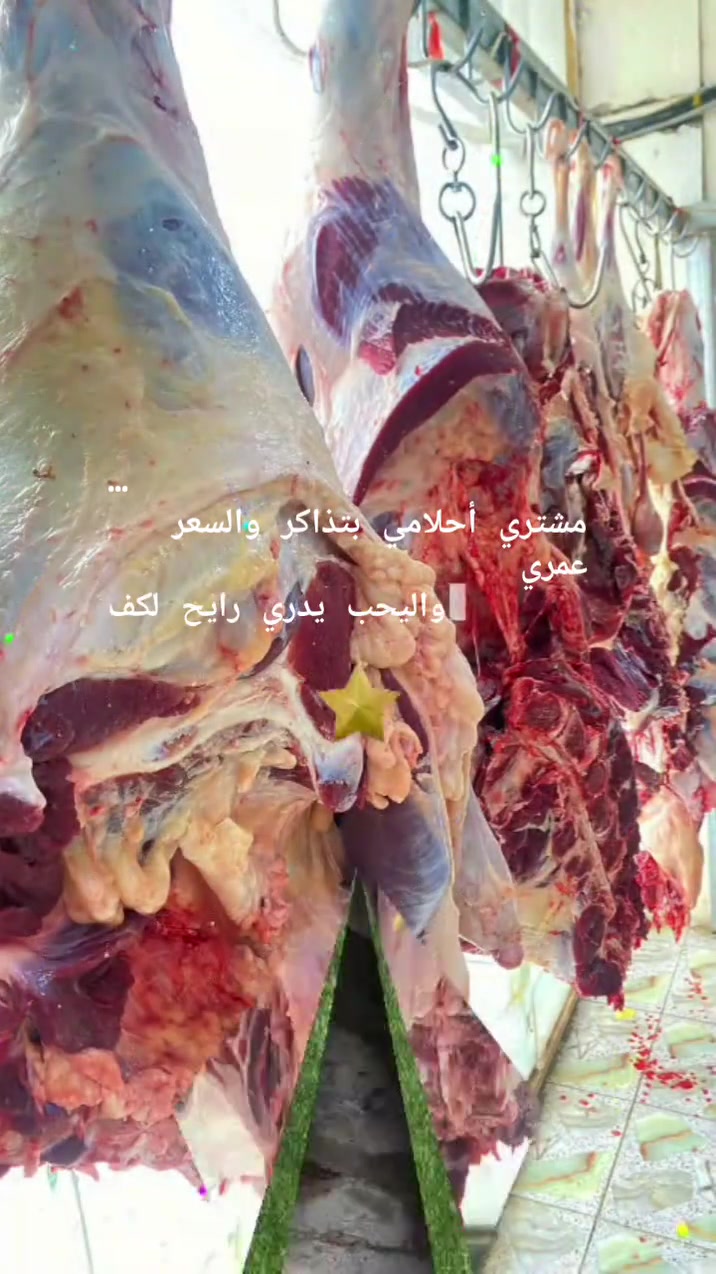 السلام عليكم 🫡🫡
لحوم ومشويات ابو عباس 👌👌
يوفر لكم الحم العراقي 
من لحم عجل🐑🐑 ولحم الغنم 🐂🐂
وباجه 🐏ومعلاك 🫁🫀ولحم مثروم وفراسم 
ذبح 🔪🔪يوم بيومه 🍖🍖🍖📢📢
ما عليك بس تطلب وتامر وتدلل 📢📢
العنوان مقابل مستشفى الجامعه اللبناني 
ويوجد توصيل داخل المجمع 
***********📱📱
***********📞📞
لحوم ومشويات ابو عباس
