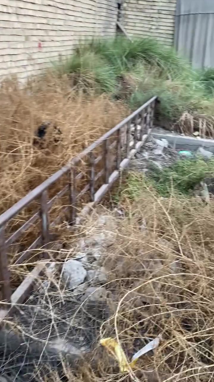 محجر • عدد ٢ • ٤ ونص و٦