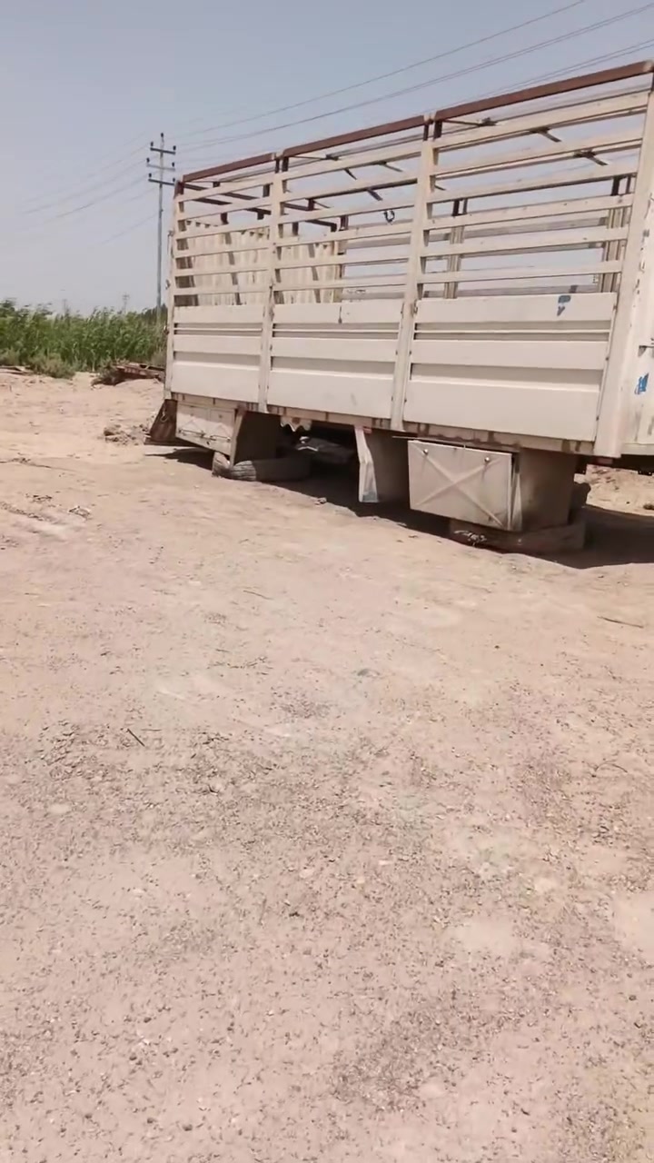 للبيع • كامل • جيب وشد