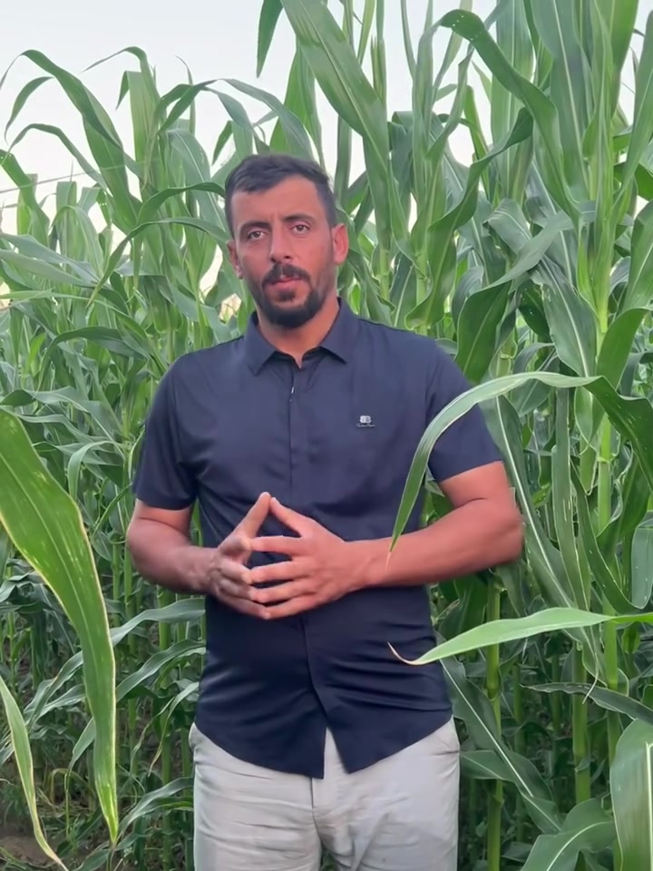 النتائج
تتكلم الصنف الكرواتي الاول بلا منافس
الحقل الخاص في مكتبنا
ماشاء الله درجة ملوحة الماء اكثر من ٣١٥٠
نتائج مرضيه ولله الحمد

مكتب العالميه الزراعي
