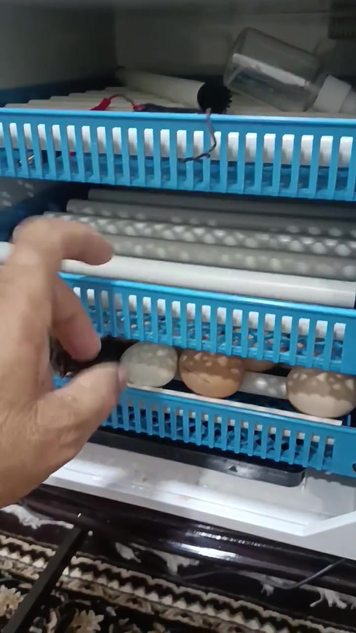 يو بي اس • نظيفه • استعملت ٤ مرات
