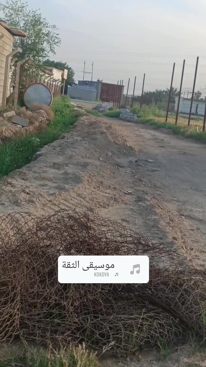 كنعان شارع العام • ٢٥ دونم • سكن زراعة مشاريع