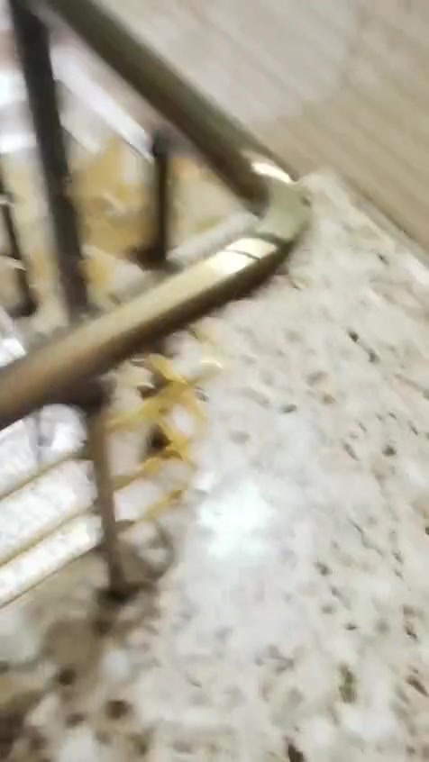 الحرية جامع الخشاب • فول زيرو • غرفتين