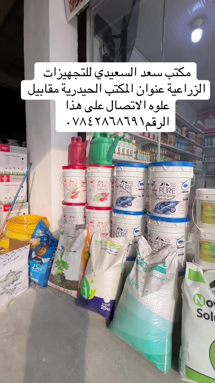 الحيدرية • مقابل علوه • بستنة