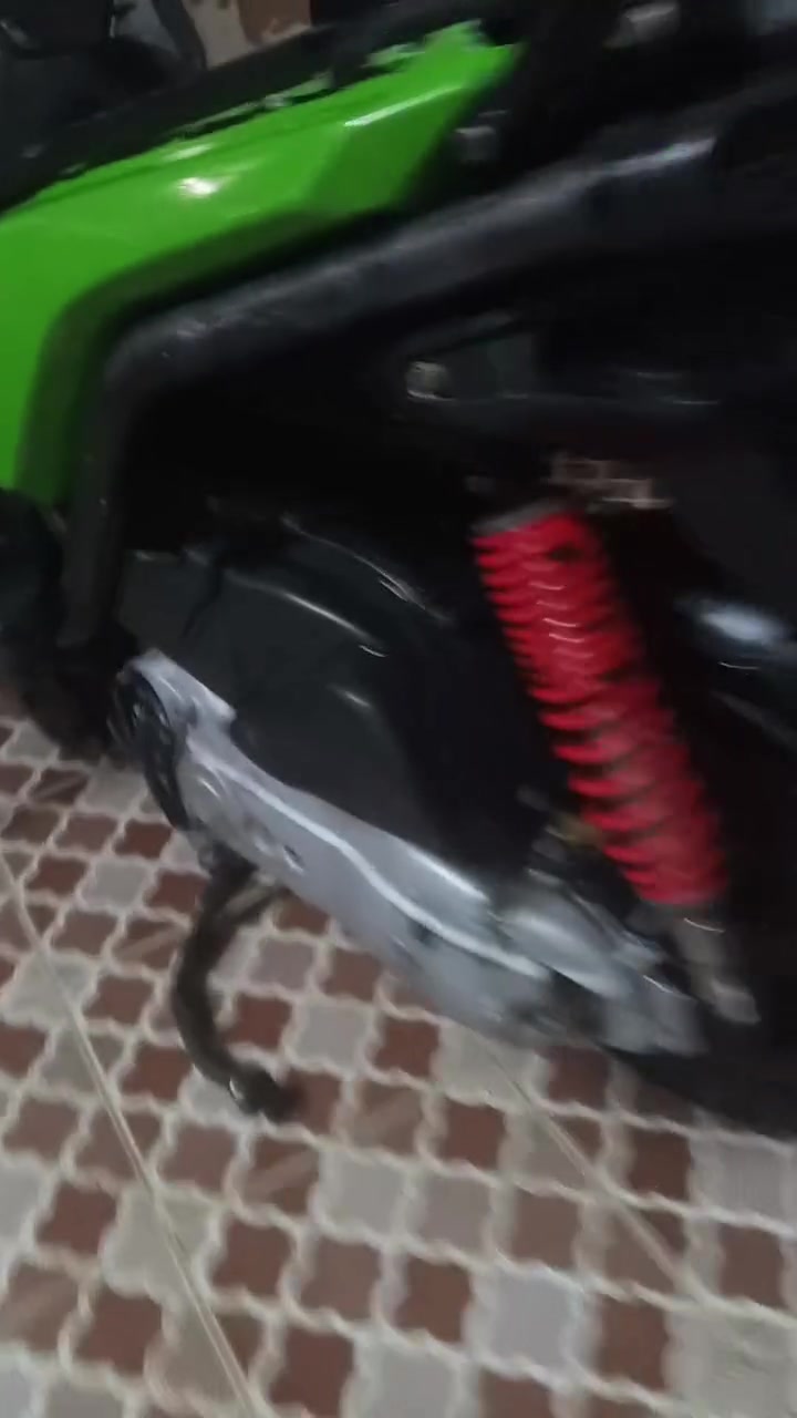 سكنس جبلي • نكره • بكاني