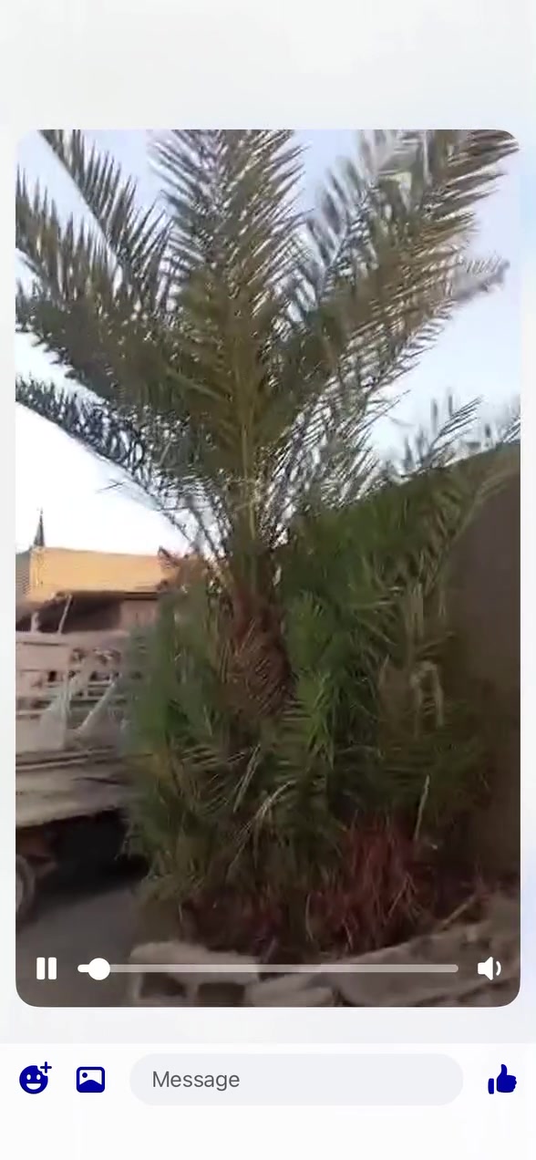 بيت • ٢٠٠م • للبيع