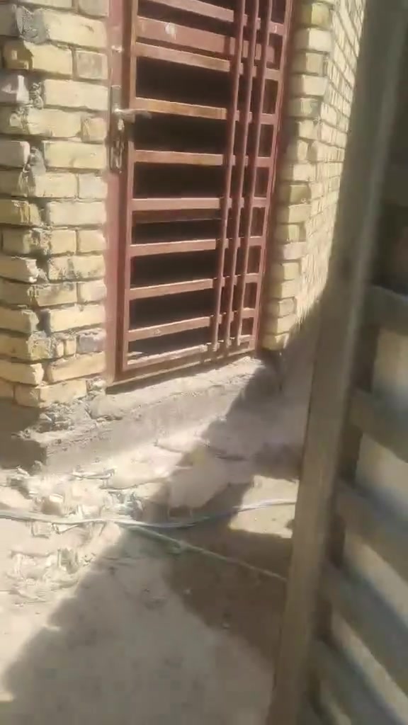 هيكل مطلوب • ١٠٠م • ورديه سيف سعد