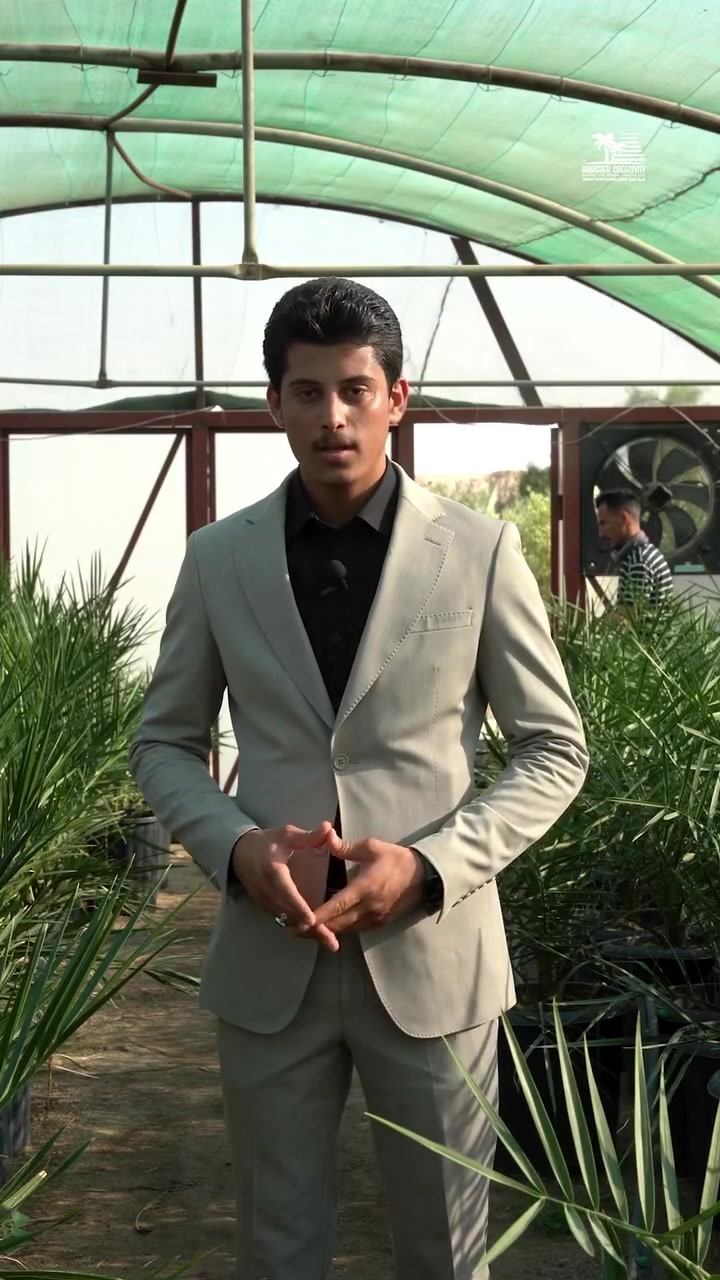 السلام عليكم متابعين الأعزاء 

مستمرين بتجهيز المشاتل والمزارع الكبير 🌴

نوفر لكم جميع الأصناف العالمية ومن مختبرات عالمية ورصينة 

لا تضيع الوقت ازرع مشروع العمر لك ولأحفادك 

للتواصل *********** 📞
