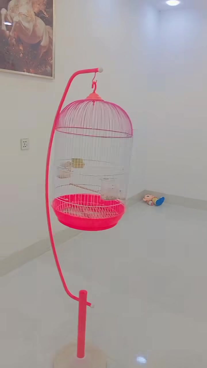 قفص • للطيور • كامل