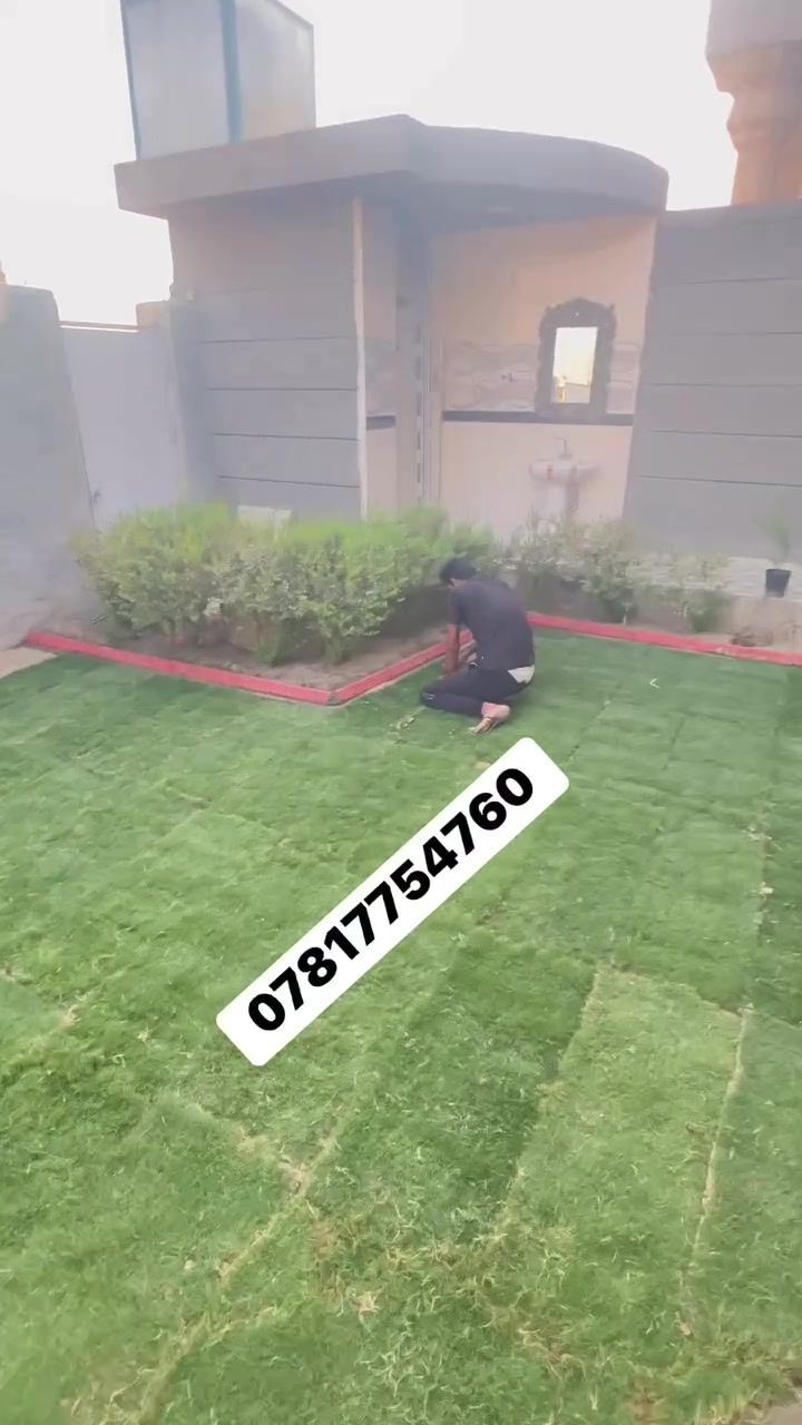شغلي اليوم الاحد❤️😍

لاين مغرنص

زرع ثيل 

زرع اشجار

ديكور 

تنضيف حديقه

***********
