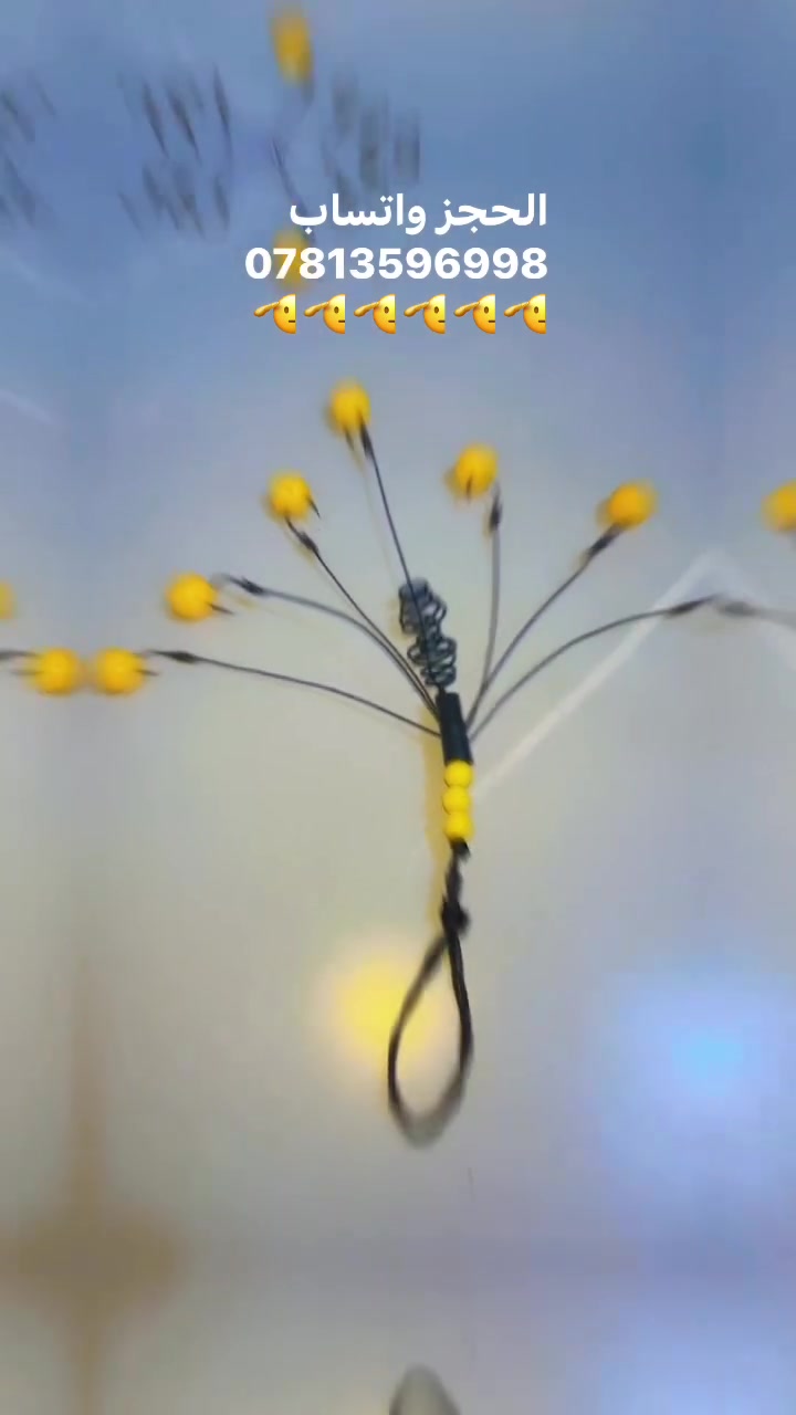 ذي قار سوق الشيوخ ***********
