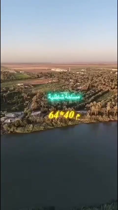 طابو زراعي • ٤ دونم الا ربع • نخيل وعنب وتين
