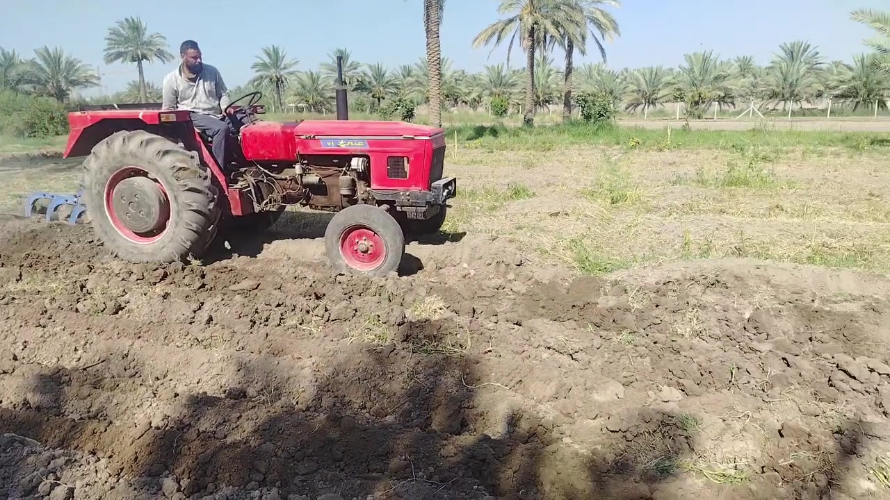 عنتر للبيع بابل السده الهندي رقم بي واتساب ***********
***********
