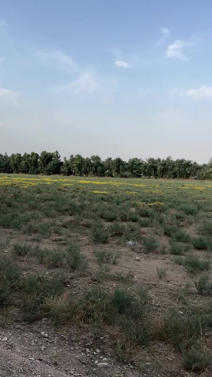 ١-٤ دوانم • سند ٢٥ • ناحية الرشيد