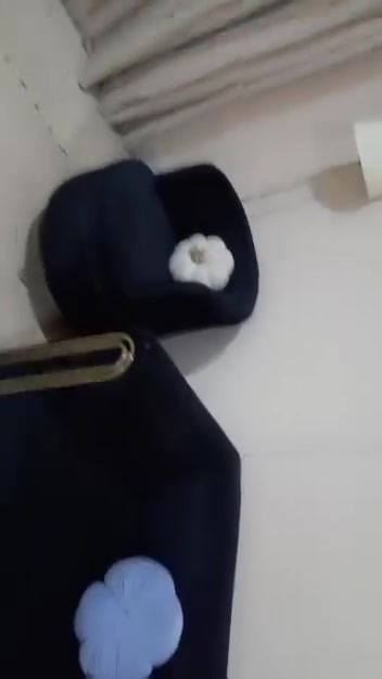 تخم • نضيف • ديالى