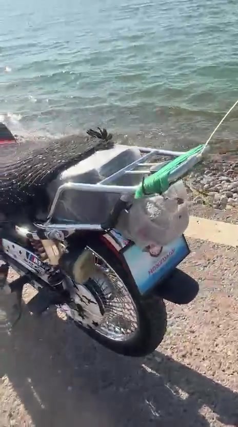 درجه للبيع نامه ابرو مود 25 محرك نضيف كفاله عام اوراق اصواليه الشراي يتصل على هذا الرقم ‏‪***********‬‏
