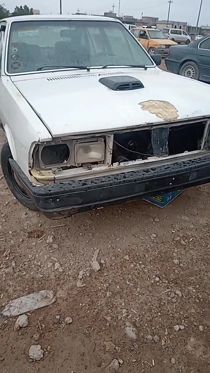 واسط • العزيزية • بالفيديو