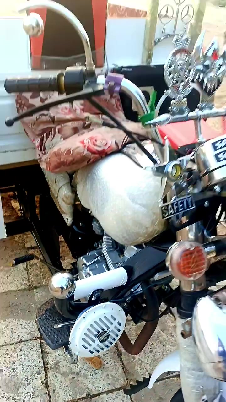 ستوته • موديل 11 • ناصريه