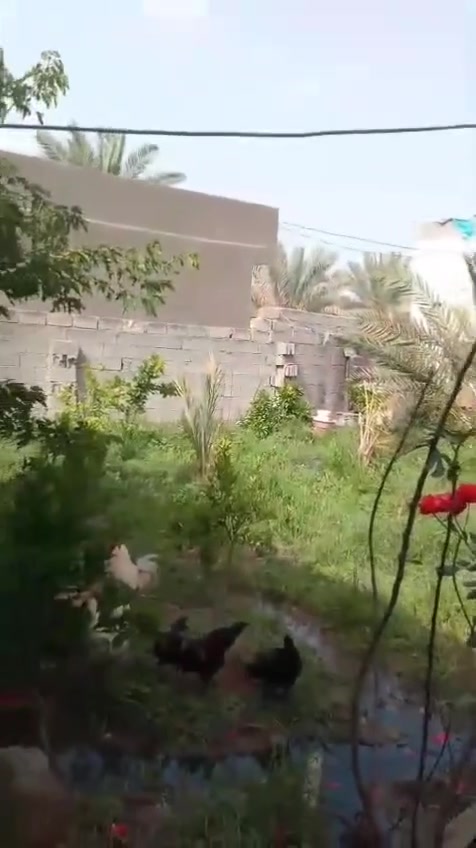 ٥٥٠ متر بيهه بيت طريق بغداد عامود ١٢٨   جميع الخدمات متوفره ارض  مزروعه  نزله تبليط ٥٠٠ متر تبعد ع شارع بغداد الرئيسي مجاور مدينه سيد الاؤصياء السعر ١٤٥ يرهم مراوس بيت بوبيات روضتين
***********
