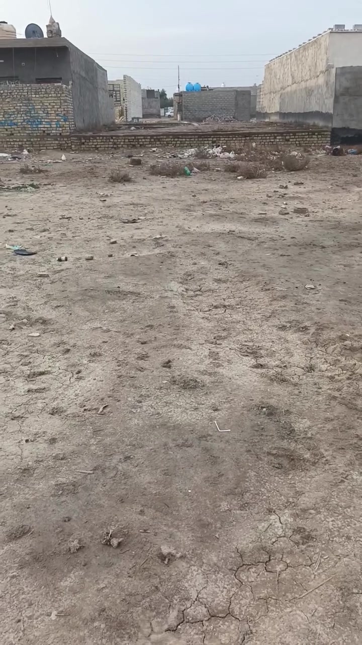 الاستفسار ***********
