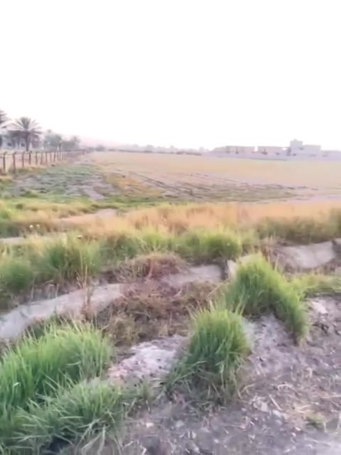 دونم للبيع التفاصيل داخل الفيديو ***********
