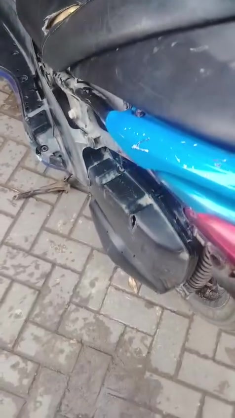 مكلوبه • تشتغل • الزعفرانيه