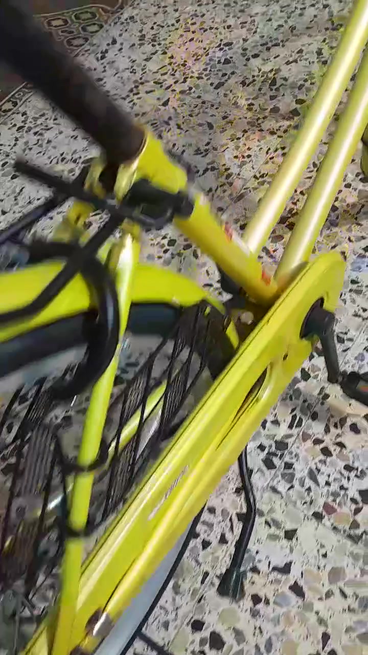 كربلاء • باسكل • ٢٦
