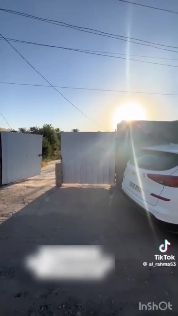 الدبسه • دونم