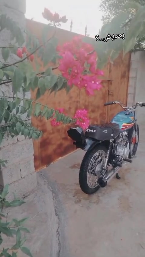 سلام عليكم نامه  شلامجه للبيع موديل 23اصلي كله درجة شلعه ومعدل دراجه كدام عينك تجي تفحص و تكلب كامله اي نقص ما بيها لا تنقص لا تبخر +دراجة كلك سعر ب425 وبيها مجال قليل حك جيه  رقمي ***********

نص مكتوب في الصور:
- HONOR X9c 17:02 2026/01/01
- HONOR X9c
- ١٧:٠٣ ٢٠٢٤/١٠/٠١
- ۱۷:۰۲ ۰۱/۱۰/۲۰۲۶
- ١٧:٠٢ ٠١/١٠/٢٠٢٦