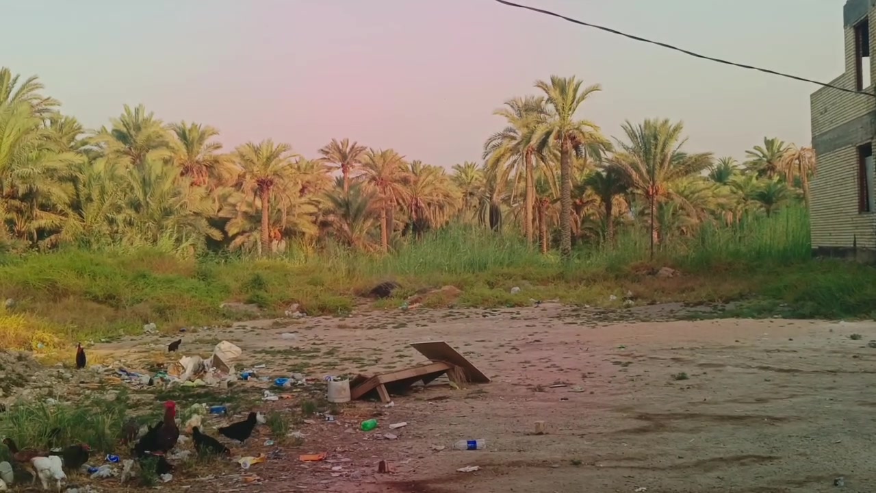 السلام عليكم المساحه دونم يحتوي على بيتين مساحه البيت 150 متر سند 25 تحويل باسم المشتري ان شاء الله بغداد ساد الخروج عامود 49 تدخل ما يقارب 600 الى 500 متر كافه الخدمات موجوده السعر وباقي التفاصيل اكثر الاتصال***********
